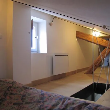 Tiny Duplex Climatise Daire Lyon